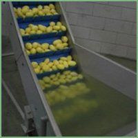 Eillert Conveyor belts for root vegetables