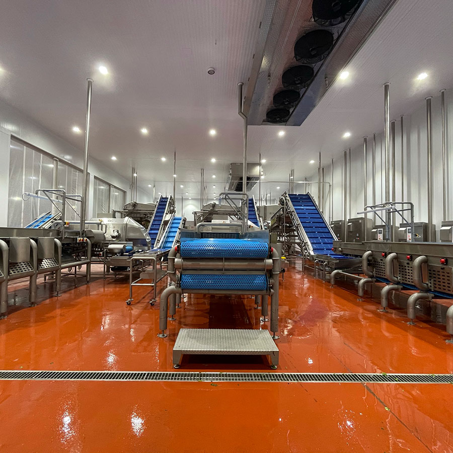 Conveyors in Salad Factory