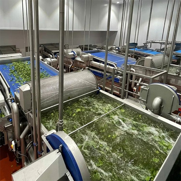 Vegetable Processing